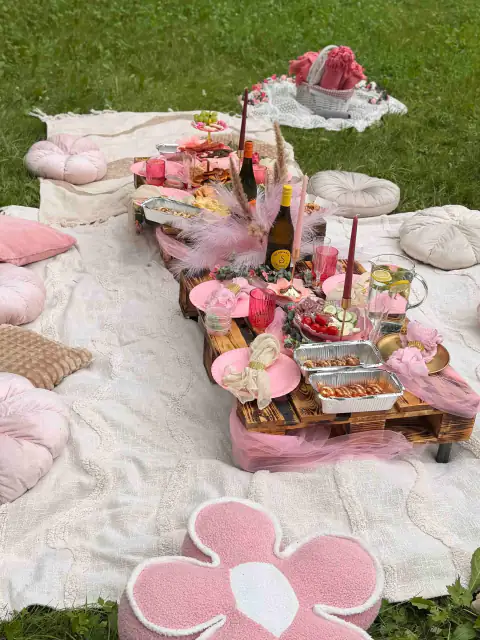 Růžový piknik s občerstvením a polštáři ve tvaru květin
